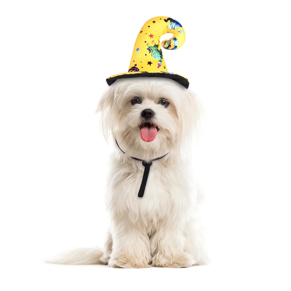 Halloween Witch Hat For Dog (9)