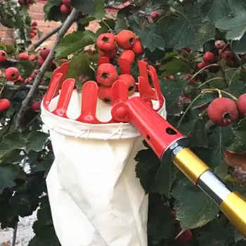 

Metal Red Fruit Picker Pruning Tools Portable Hardware Without Pole Farm Creative Gardening Hand Tool Yard Outside