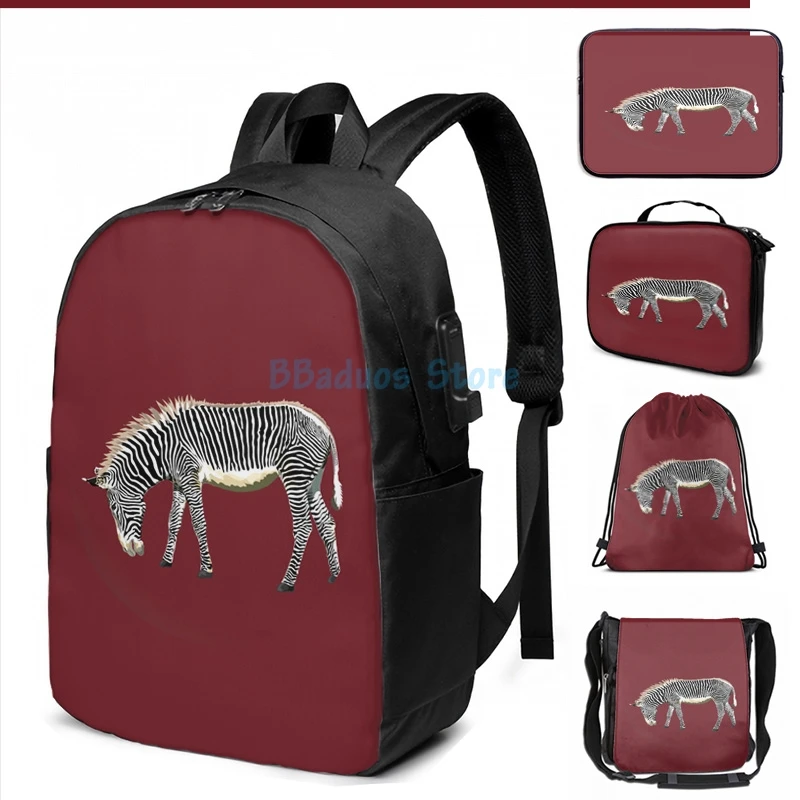 Забавный рюкзак с графическим принтом Be A Zebra USB-зарядкой мужские школьные сумки