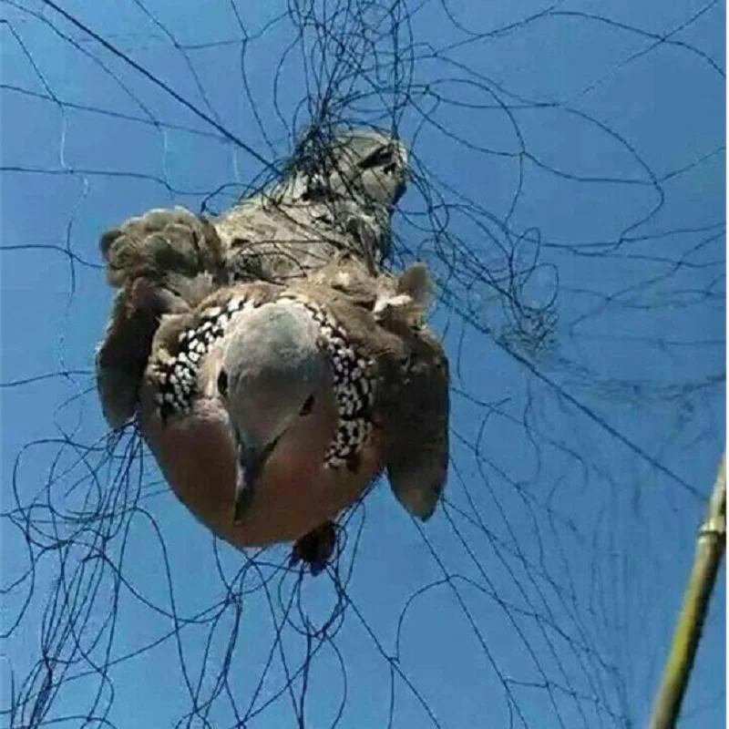 Alta calidad prevenir grandes aves jardín pájaro redes anti-niebla redes no daño aves huertos pájaro redes