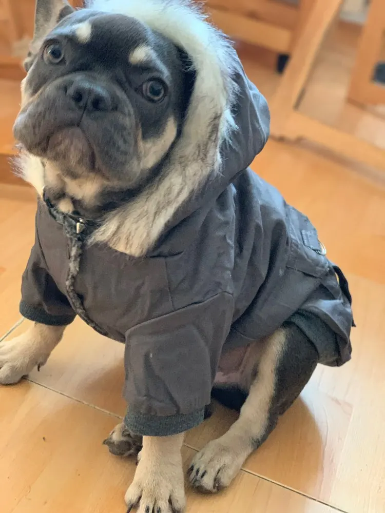 Ucd7821ee63ed48698cb48f992578048bu