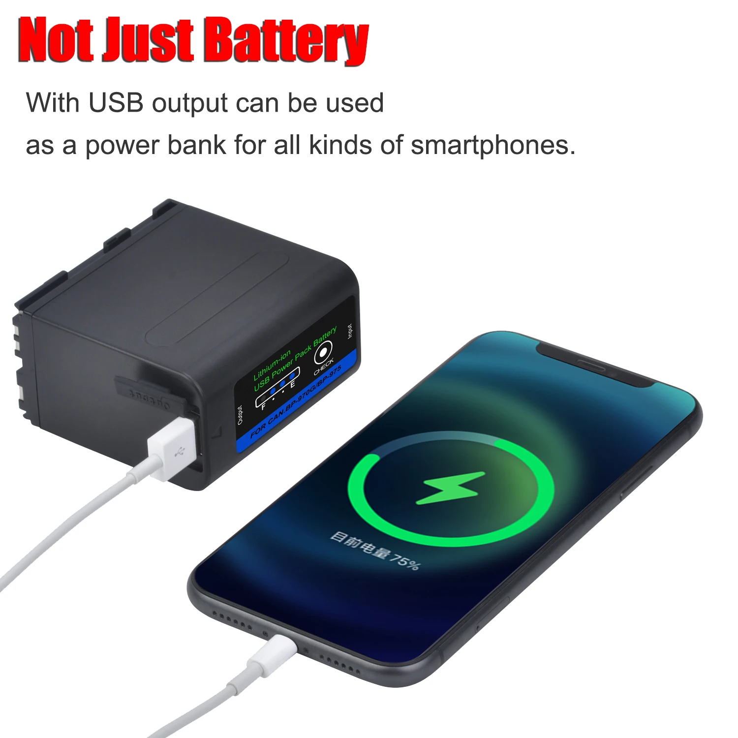 Canon バッテリーパック BP975 Canon BP-975 Intelligent Lithium-Ion Battery Pack 4588B002 B&H