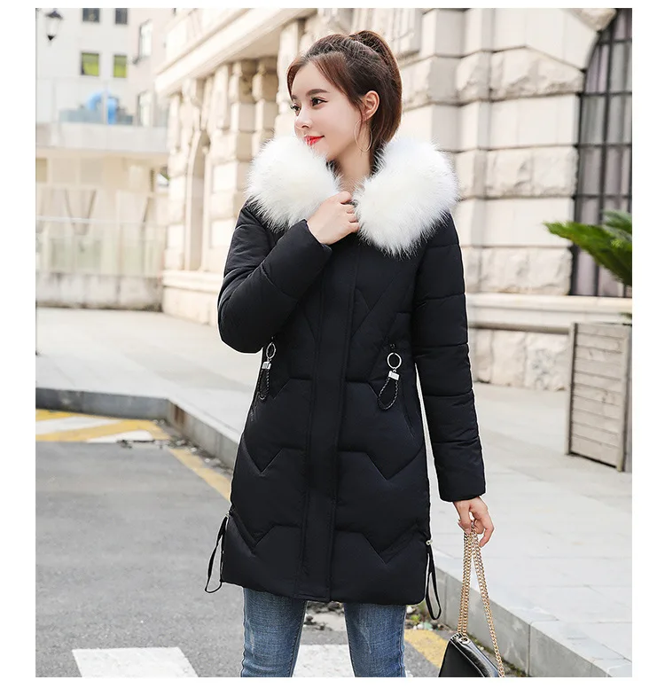 Cotton2_22.jpg
