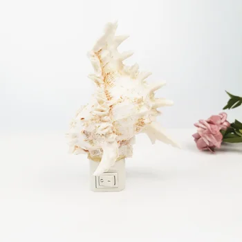 

Real Seashell Night Light Led Lamp Children's Nigjt Light Plug In Wall Lamp Bedroom for Home