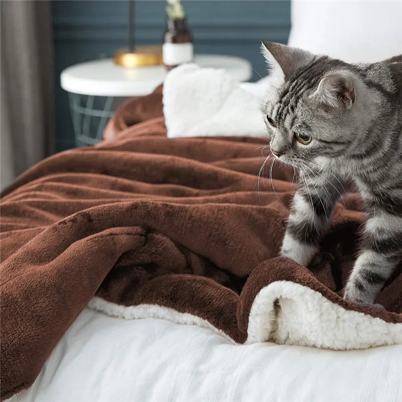 ���� ��� ���� ����Ʈ ���� �÷��� �����ϰ� �ƴ��� ǫ���� ����ũ�� ȭ�̹� ���� ������ ���� ���� ��� ���޽����� ���