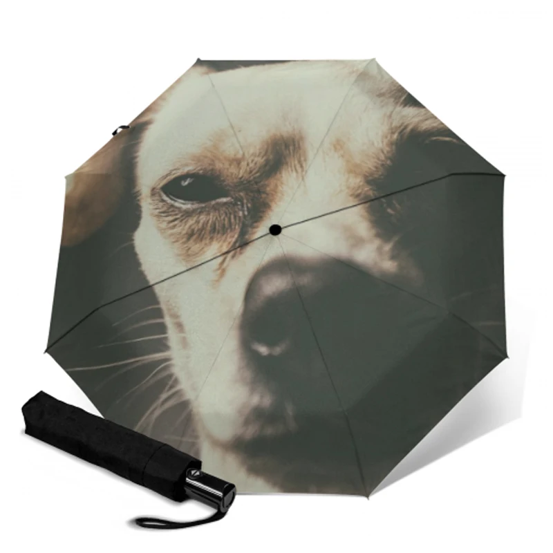 Складной полностью автоматический зонт для женщин, для путешествий, анти-УФ, ветрозащитный, дождевик, собака, модификация, женский, мужской, солнцезащитный зонтик, уличные зонты - Цвет: YSA1090