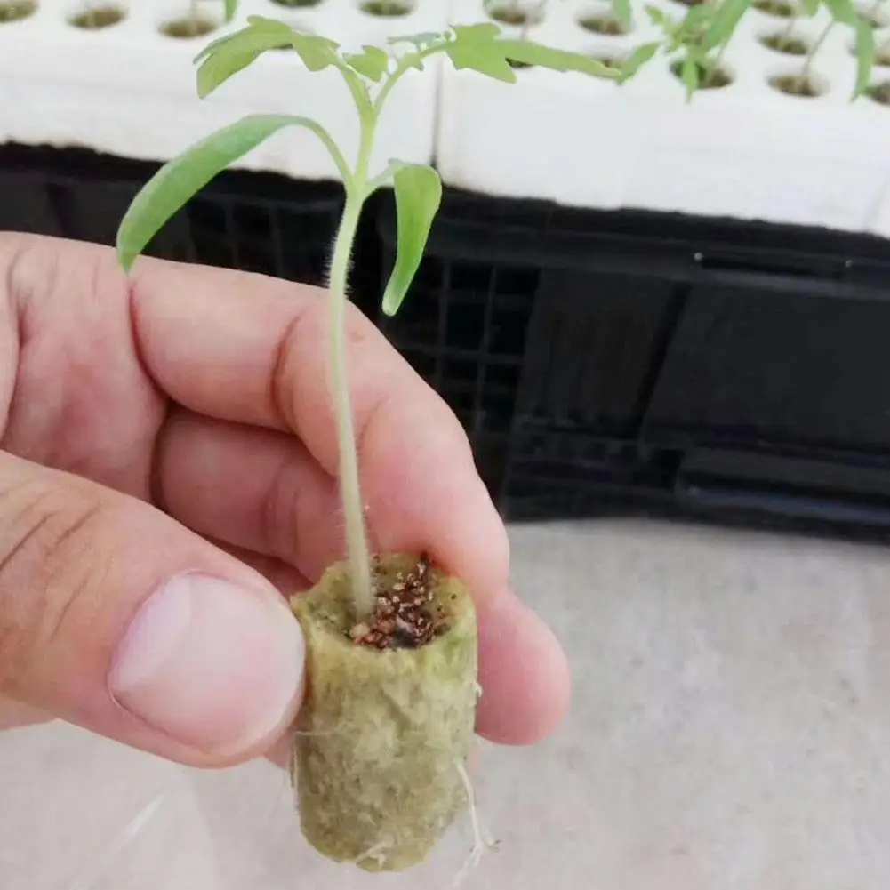 50 шт. заглушка для выращивания гродановых заглушек кубики Rockwool Hydroponic Grow Media propation клонирование вегетационные кубики