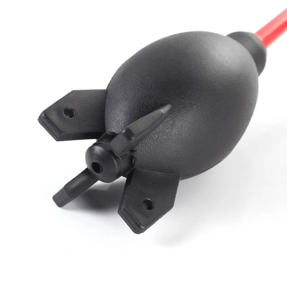 PINKTORTOISE   ǳ  ûұ û  f ī޶  Filte Ű