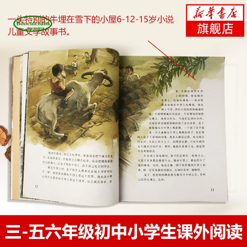 Классическая книга NewCao Wenxuan с красивой иллюстрацией для детей от 10 до 15