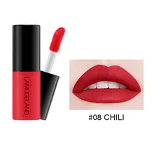 12 cor Profissional Amostra Lip Gloss Lip Glaze Mate de Longa Duração Não-Copo antiaderente Batom Líquido de Longa Duração Cosméticos TSLM1