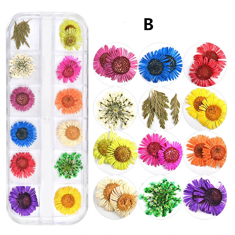 9072648908_1039904121