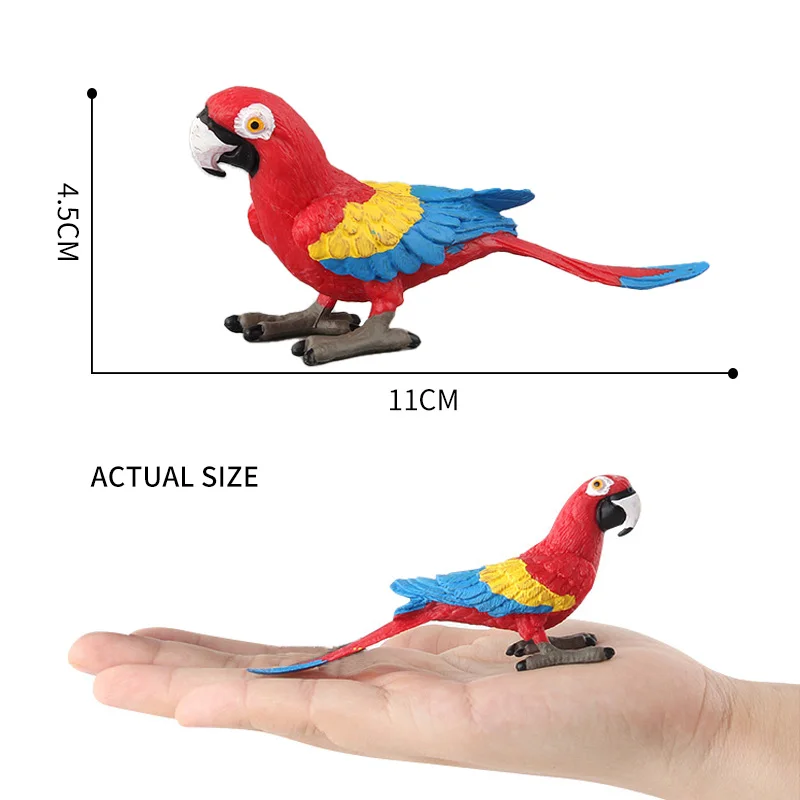 Simulation Bird Models Budgerigar Cockatoo Macaw Parrot Simulated Birds Action Figures PVC Figurine Toys For Kids Education Gift bumblebee transformer toy Action & Toy Figures