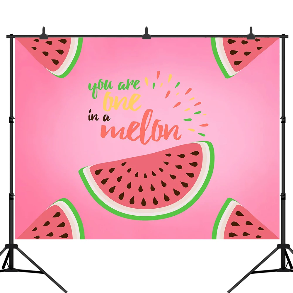 

Watermelon Party Backdrop One In A Melon Birthday Party Banner Photography Background First Birthday Pink Melon Party