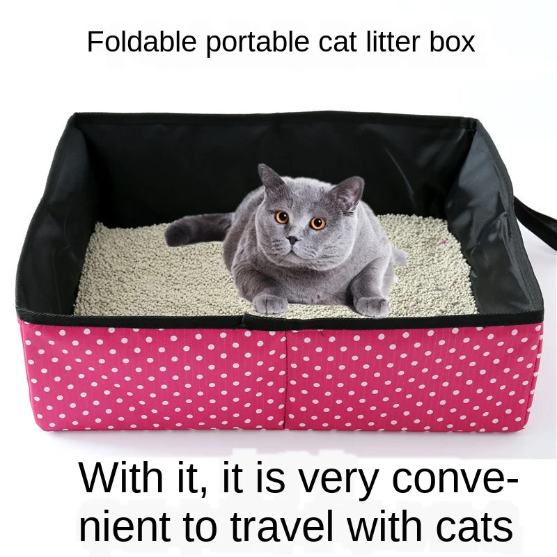 9253399353_1453749488