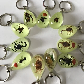 

12 pcs Specimen Artificial Keychain Mix Scorpion Spider Crab Taxidermy Accessories