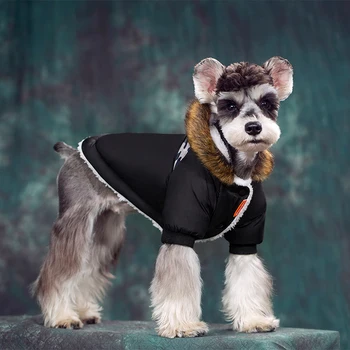 Dog Winter Coat with Harness Hole Waterproof