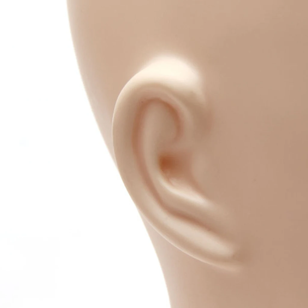Female Mannequin Head Model Torso Plastic Dress Form with Stand Wig Hat Display Stand Glasses Display Holder 