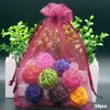 50pcs Garden Vegetable Fruit Grow Bag Plants Protection Bag Anti Bird Drawstring Netting Candy Makeup Mesh Pouch Pest Control ► Photo 3/6