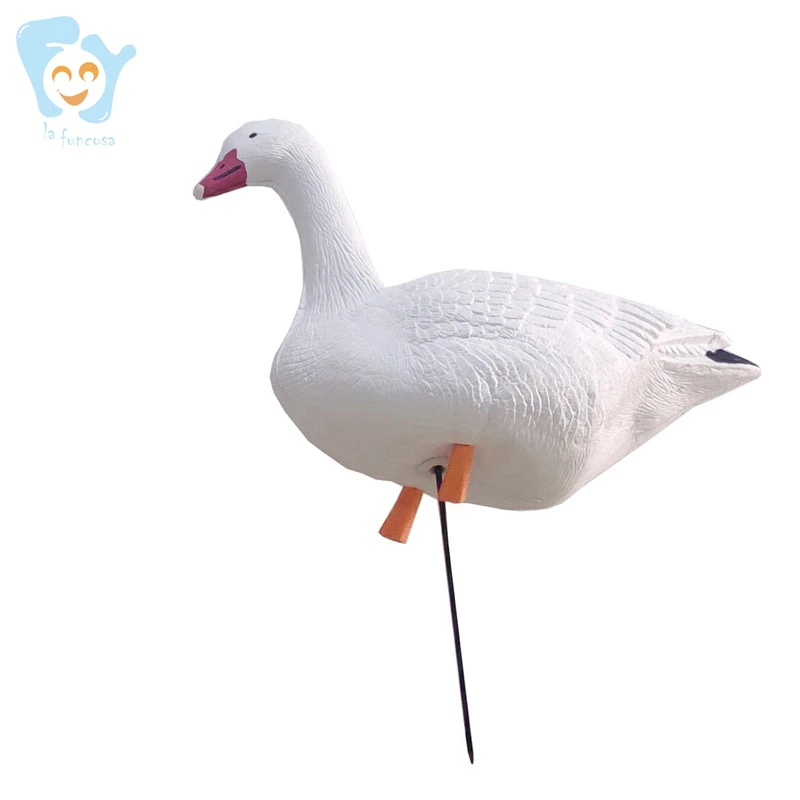 snow goose 3