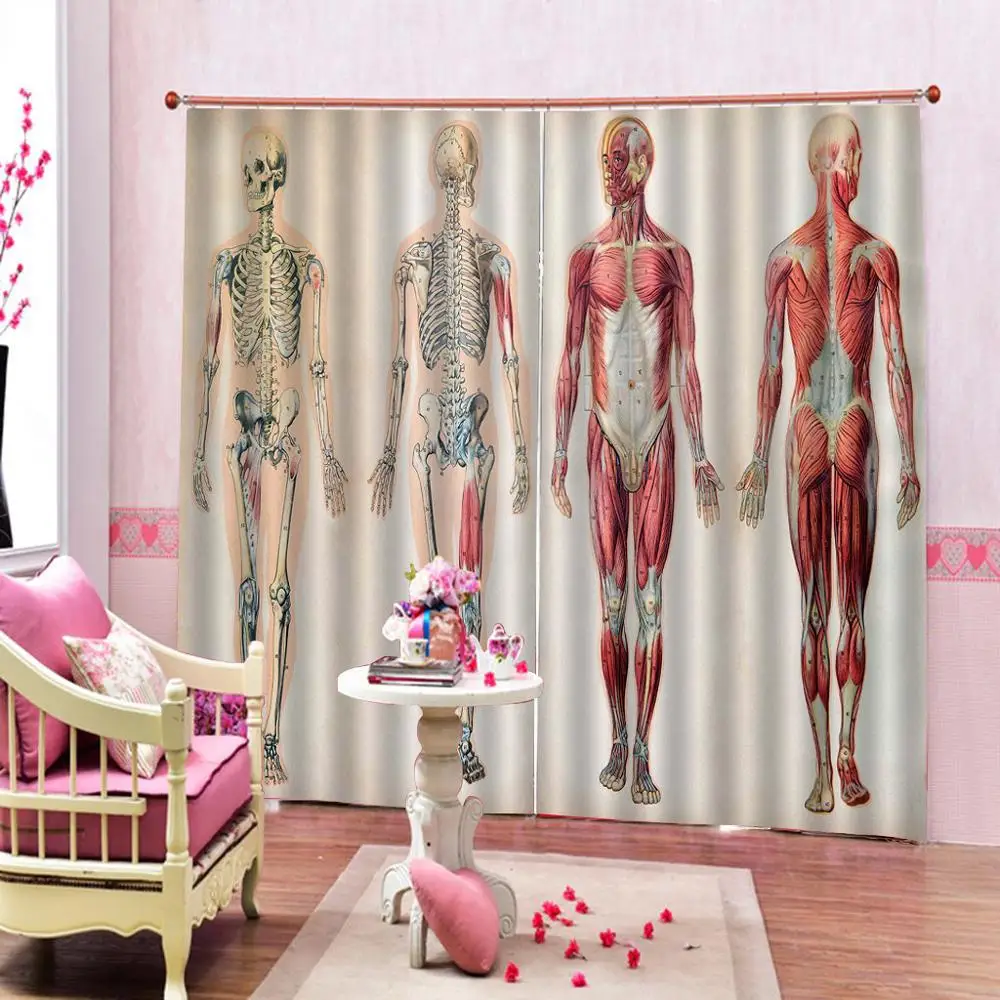 Customized 3D Curtains Human Anatomy Shower Curtain Vintage Chart of Body Front Back Skeleton and Muscle System Bone Mass | Дом и сад