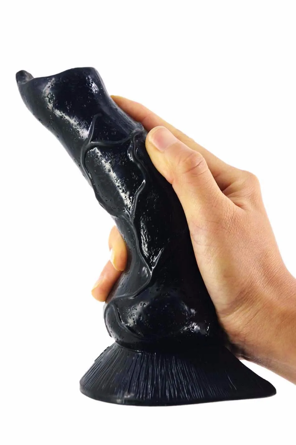 4596841342_1424538027