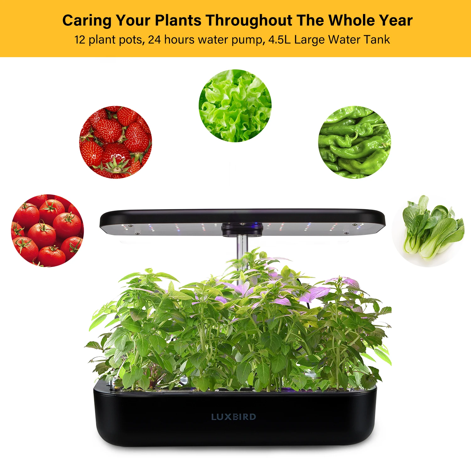 INKBIRD-Hydroponics-Growing-System-Height-Adjustable-with-Smart-LED-Grow-Light-Large-Capacity-Germination-Kit-for.jpg Inkbird Hidroponika Növekvő Rendszer Magassága Smart Led -Vel, Grow Könnyű Kapacitású Csírázási Készlet Otthoni Kertészethez - Image 6