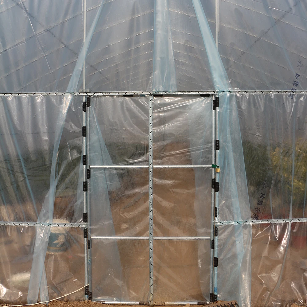 Large Area Long Tunnel Planting Greenhouse Supplier