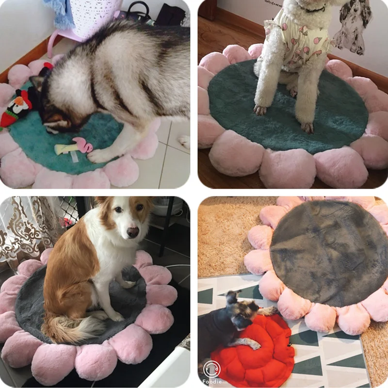 O1CN011M4zomeQv1QAllT_!!377901382 (1)