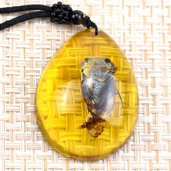

Insect amber stone wax insect Po natural specimen pendant scorpion king natural insect
