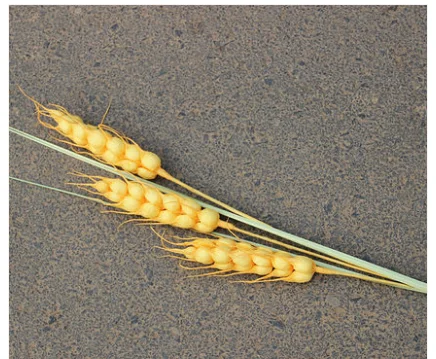 Z6O80M[U0CEO{0GUINUHX(P