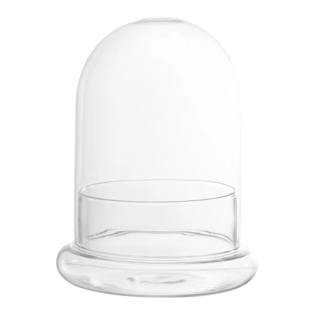 

Dome Glass Display Cloche Bell Jarplants Case Flowerwith Base Terrarium Planter Cover Preserved Clear Domes Candles Bottle