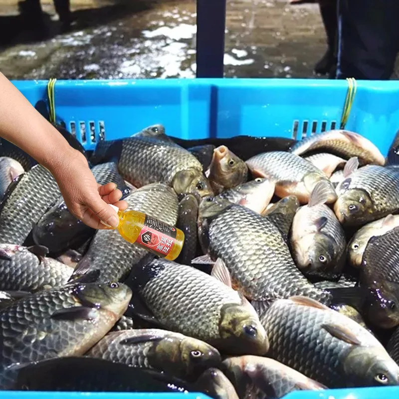

Had Small Fishing Mad Pull Carp High Temperature Small Summer Small Yue 51-100 Yuan Black Pit Fishing Angling Carp Bait