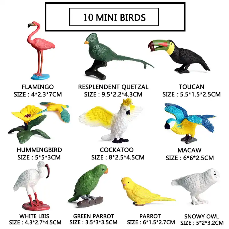 Mini Aves Série Set & Ação brinquedos Figura Animal 7 pçs/set 10 pçs/set Papagaio Flamingo Woodpecker Modelo Collectible Pvc Para Presente Do Miúdo