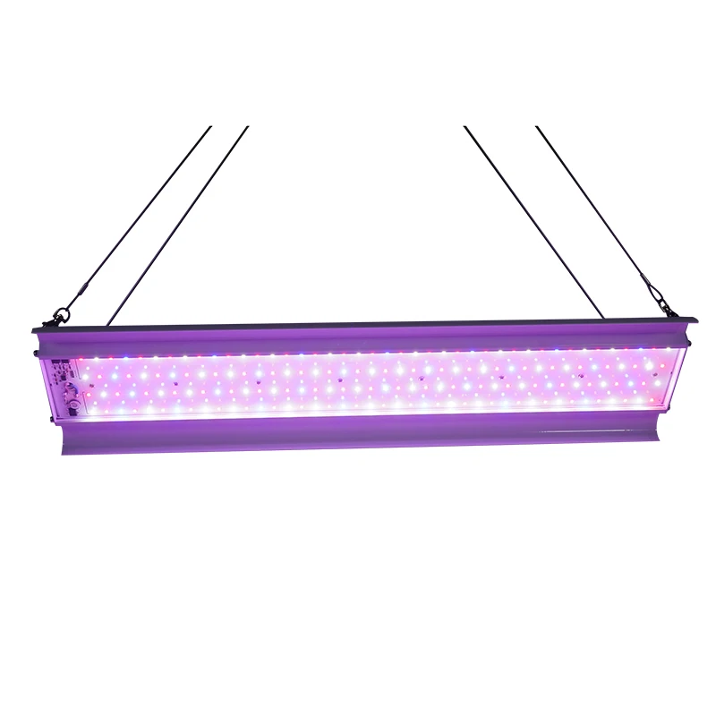 

Linear Grow Light 80W for Vegetable Fruit and Flower Indoor Farming