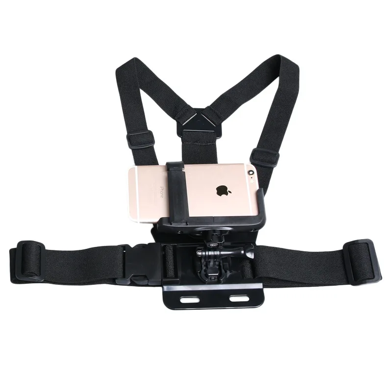 3853143308_1447775751