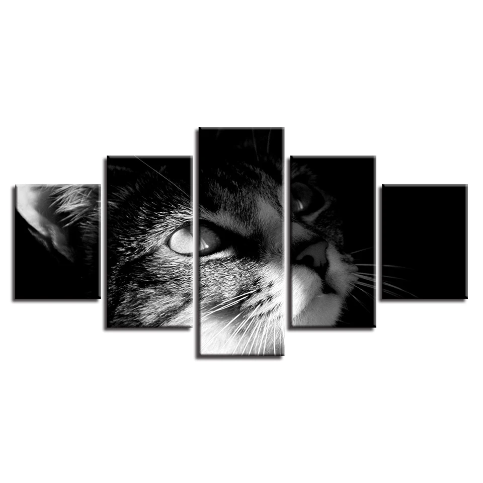 HTB1H2VpvOCYBuNkSnaVq6AMsVXab