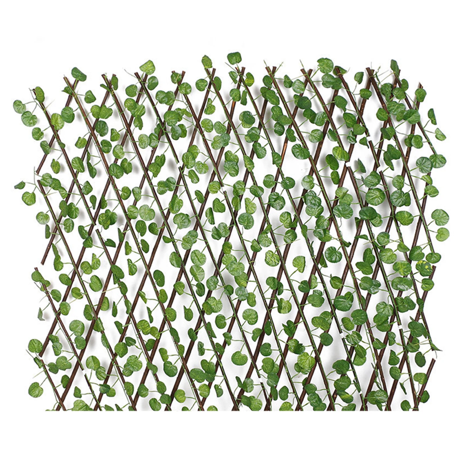 Fausse Cloture Vegetale