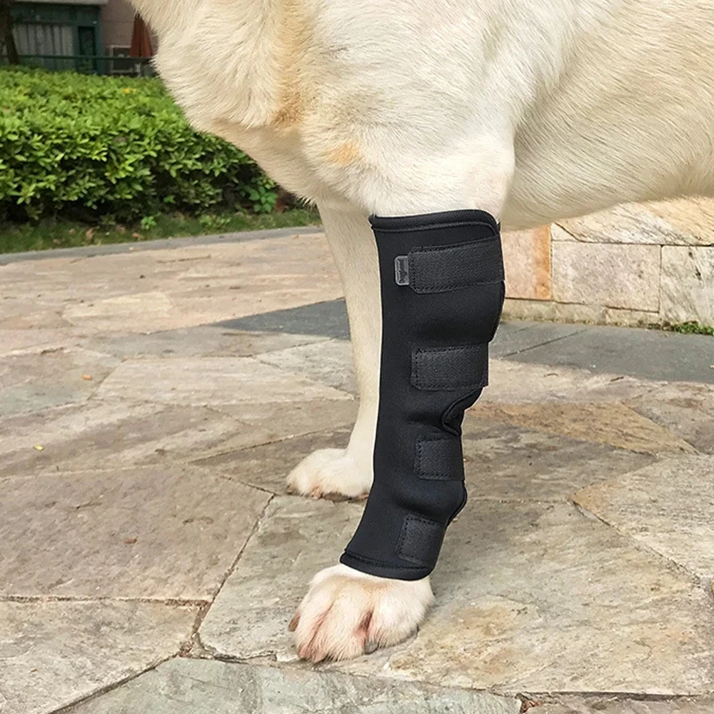 Dog leggings set pet leg injury anti-twist inflammation fixed recovery straps wrapped leg bracke Protects Wounds and Injury