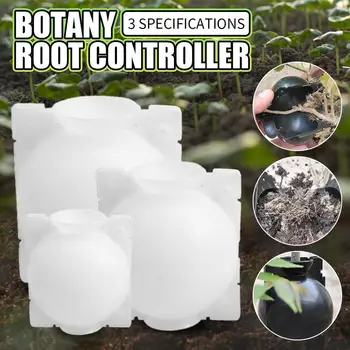 

5 pieces of botanical garden ball grafting rooting growth box breeding box 5cm