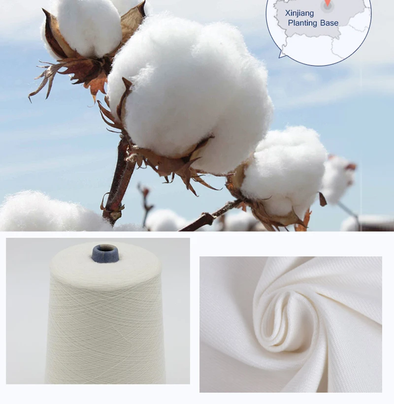 O1CN01bTy3uw1qb05dKxhPU_!!2139295513