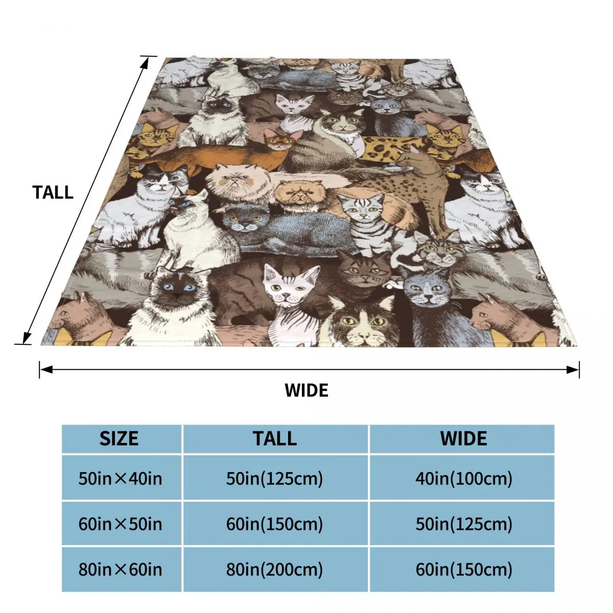 ��Ƽ�� ������ ��� �ö��� ���� ��� ���� �ֿ� ���� ��ȣ�� ��ǳ ���� ������ ���� ��� ħ�� ���� �� ����