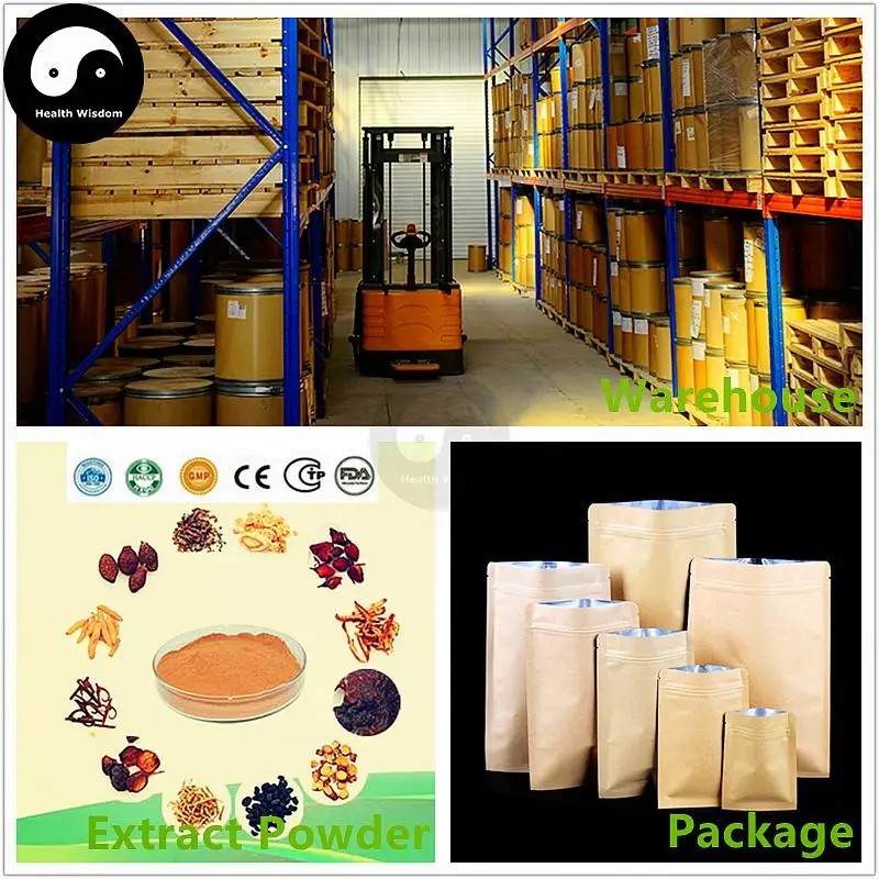 American Ginseng Extract Powder 10:1, Panax Quinquefolius P.E., Ginsenosideds