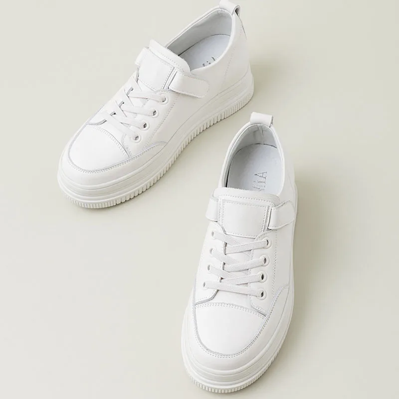 未标题-1_0001_背景