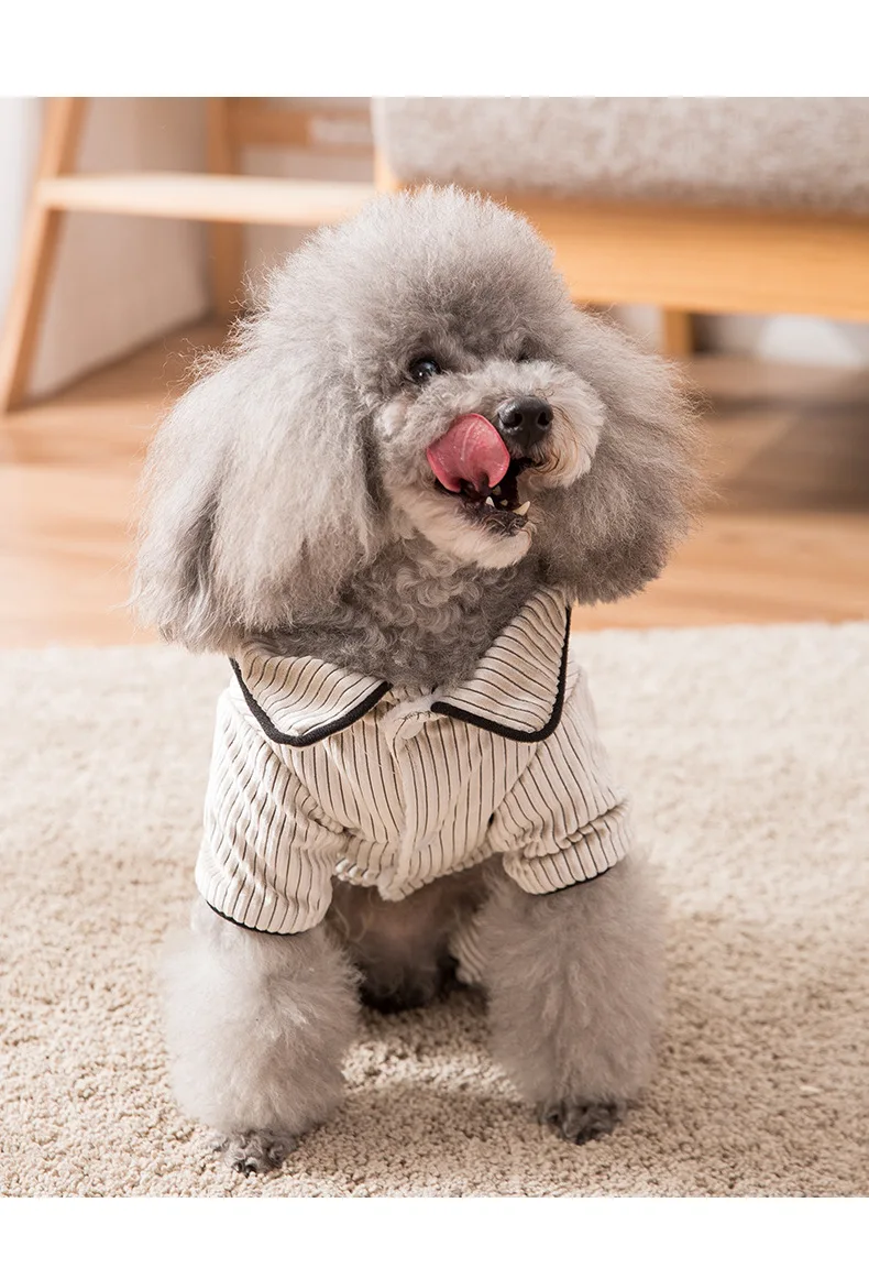 Hipidog Одежда для собак модное пальто для собак с вышитыми буквами осенняя и зимняя одежда для щенков для маленьких собак чихуахуа