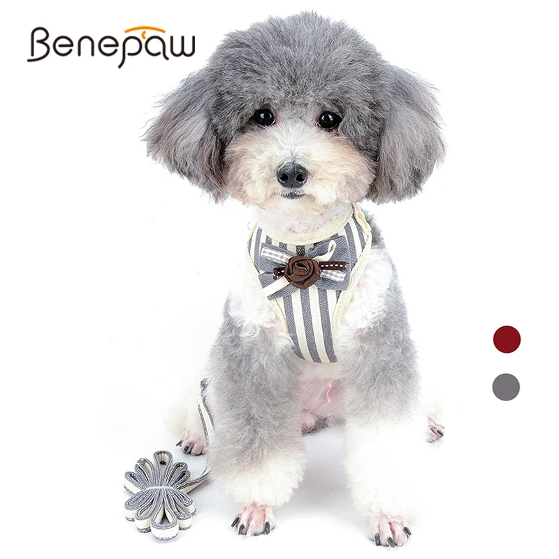 Benepaw Модный Полосатый поводок для маленьких собак, набор, галстук-бабочка, дышащая сетка, Мягкий регулируемый поводок для щенков, для питомцев, защита от побега