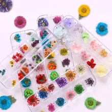 Натуральные высушенные цветы 3D дизайн дизайна ногтей советы из серии «сделай сам» Маникюр 12 цветов Мода