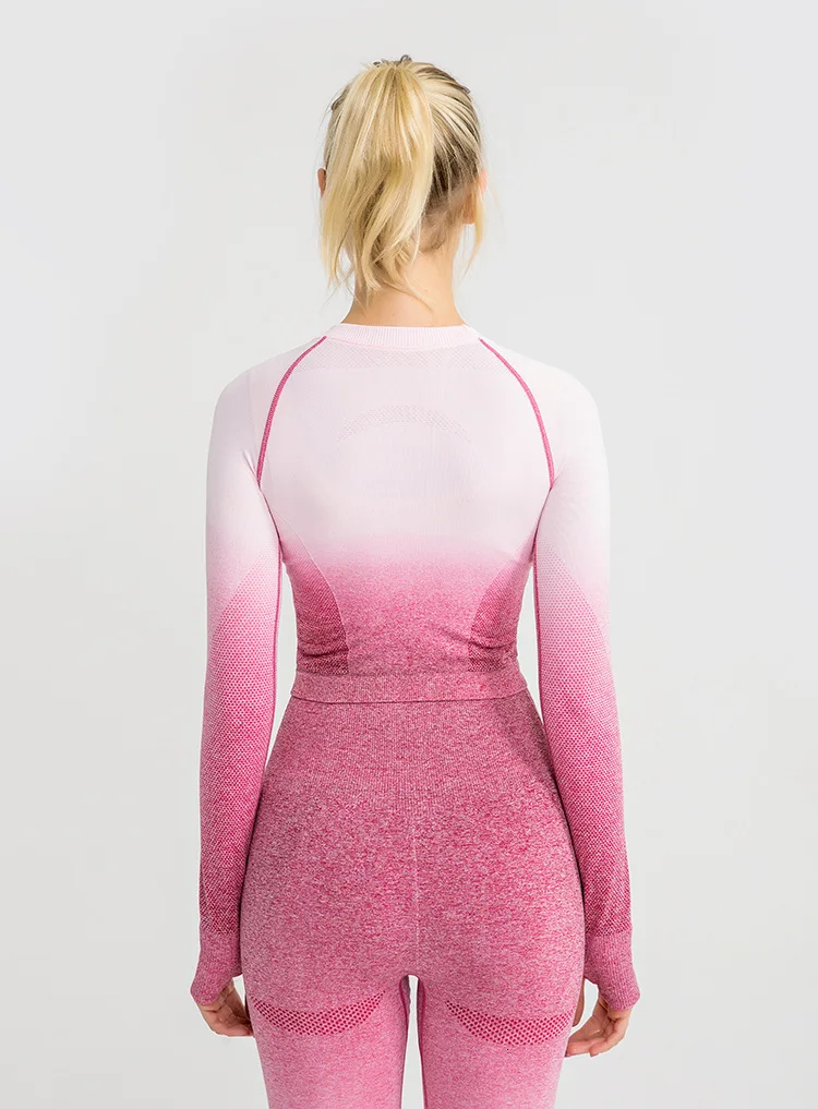 Shark Women Ombre Cropped Seamless Long Sleeve Top Crop Top Women Workout Shirts for Women Sports Tops Women Gym