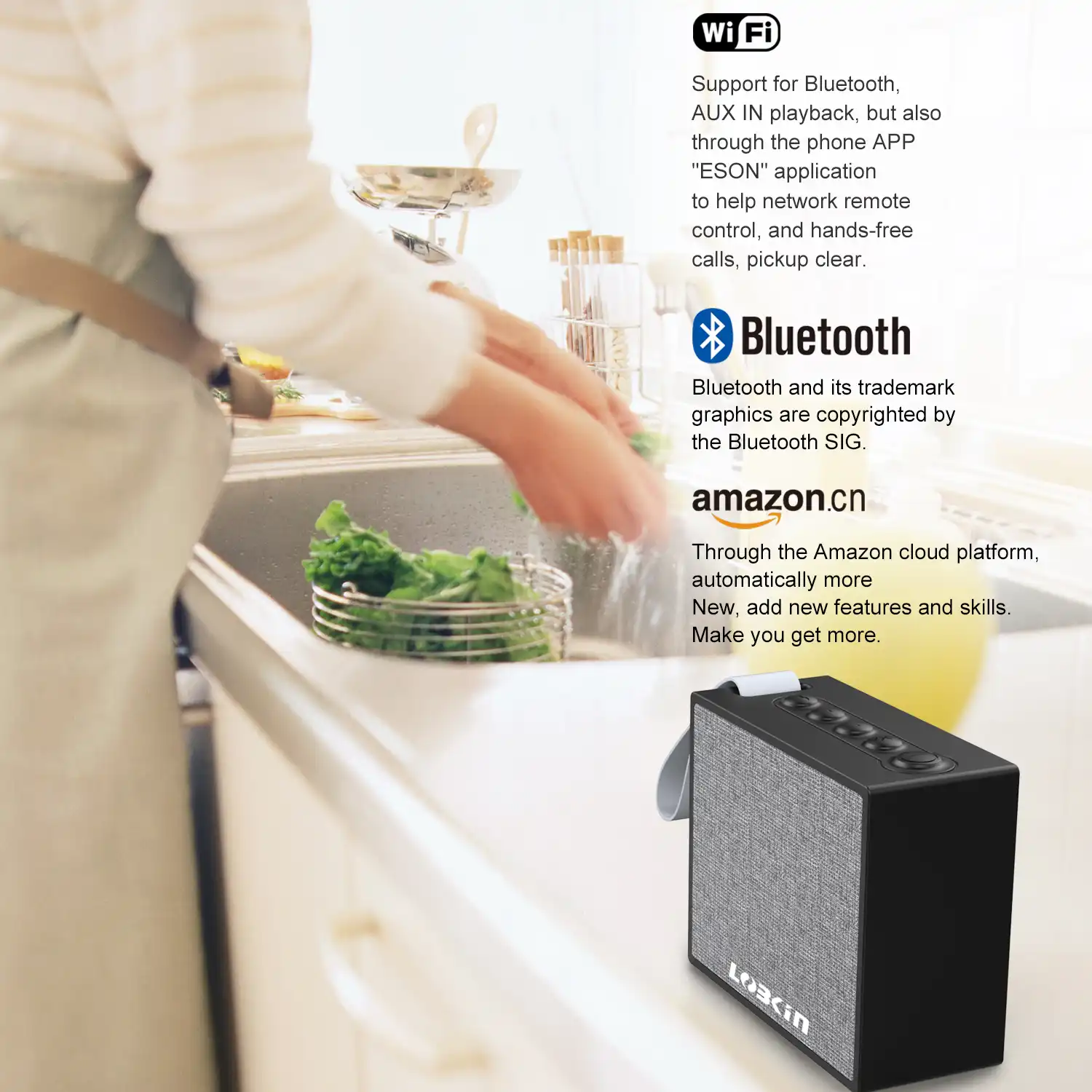 outdoor wifi speaker system