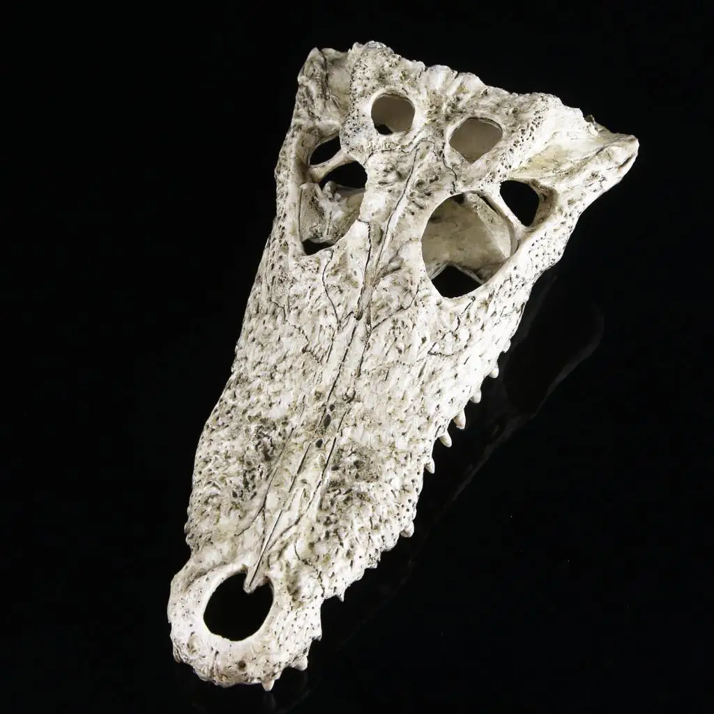 

Reptile Vivariums Decorations Aquarium Fish Tank Water Aquarscaping Ornament Skull Animal Tools