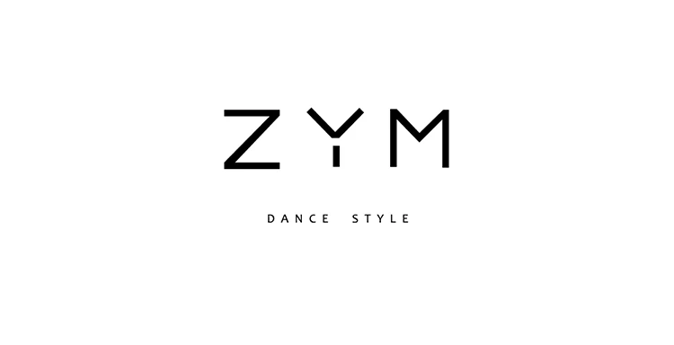 Платье ZYM dance style Final Lap#1940 женское платье для латинских танцев с длинным рукавом и v-образным вырезом, Сетчатое Прозрачное платье с бахромой